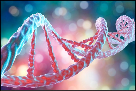 Scientists Finally Sequence the Entire Human Genome