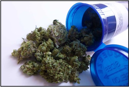 Medical Marijuana: an Update