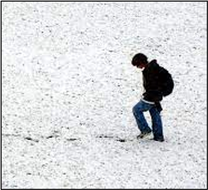 Why Walking Backwards Can Be Good For Your Health and Brain