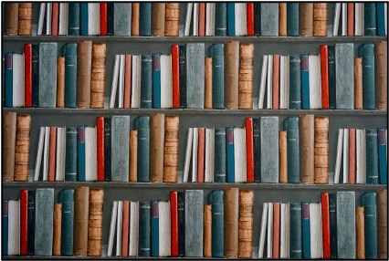 Ways to Continue Your Education in Retirement